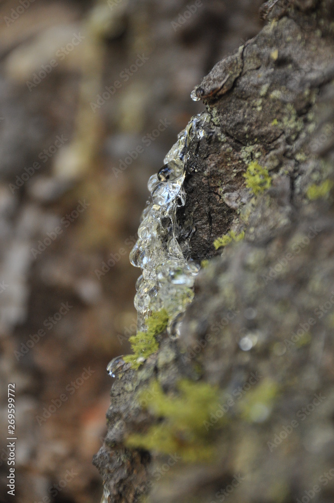 resin resin