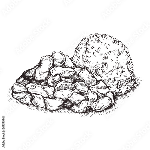 Illustration Rice with chicken.Traditional Indian cuisine, chicken curry with  and boiled rice.Sketch.Tso's chicken with rice.Fried chicken pieces in batter with sweet and sour sauce.