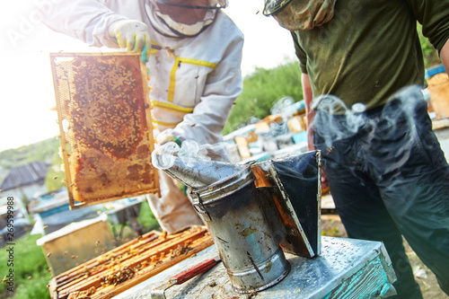 bee smoker costs about the hive, is prepared for the audit of honeycombs with bees