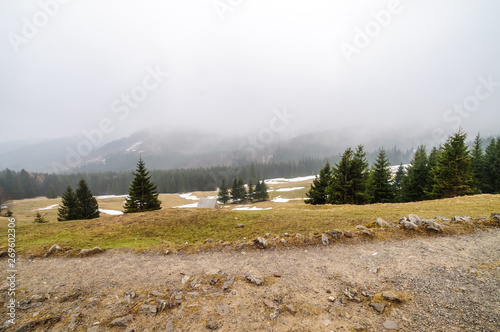 Kalatowki, Zakopane, Poland. Views on clearing during foggy and wet day. photo