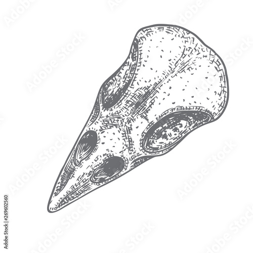 Crow skull. Hand drawn bird skull, line art sketch of raven animal head. Drawing by hand Boho style. Witchcraft, voodoo magic attribute for Halloween. Vector.