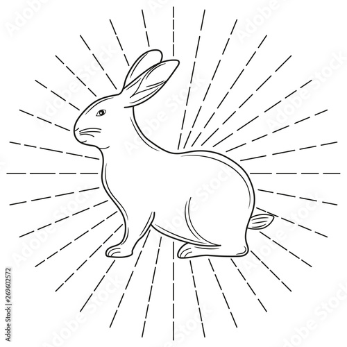 White silhouette of a rabbit. Vector illustration.
