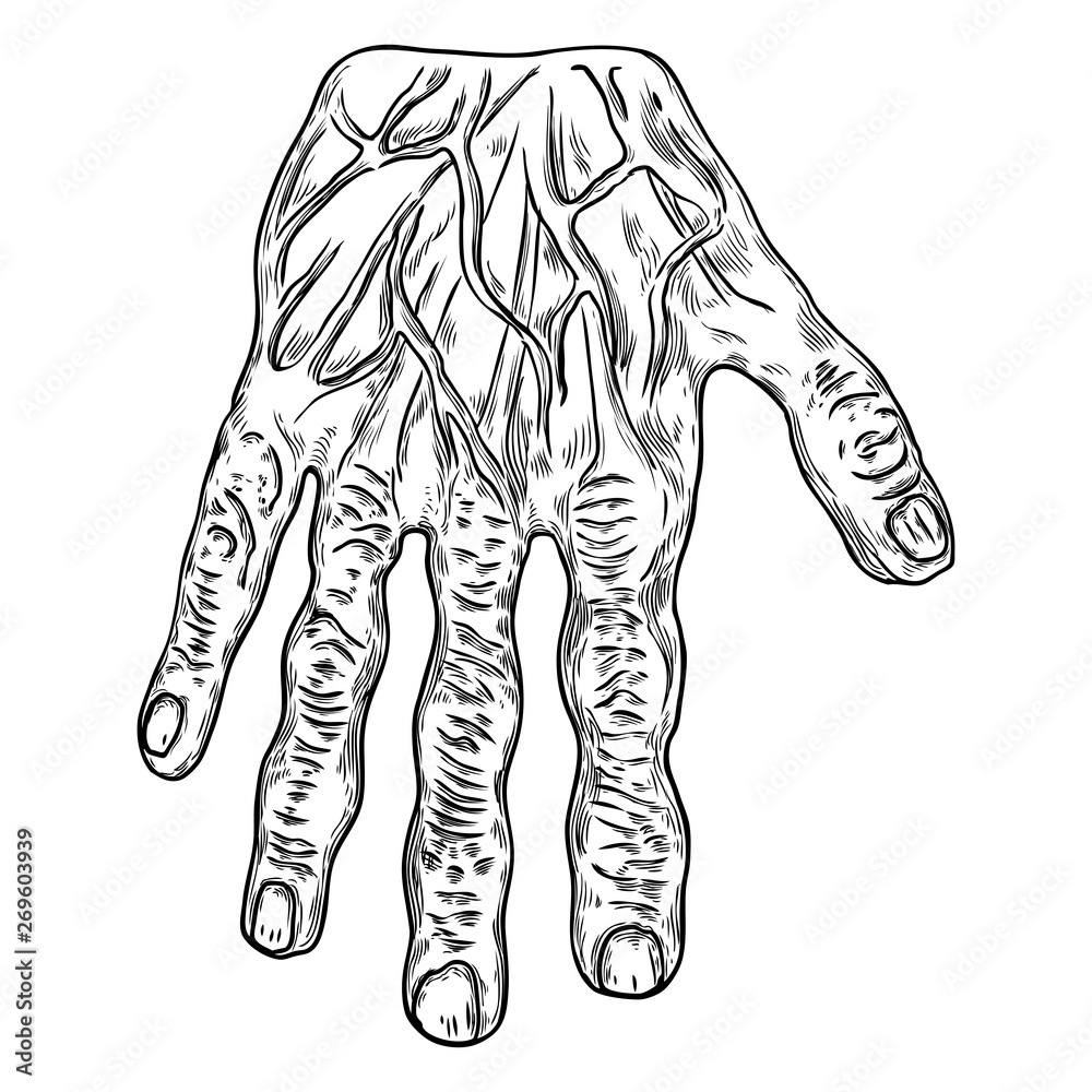Fototapeta premium Scary zombie monster hand, hand drawn. Isolated on white background, for Halloween. Vector.