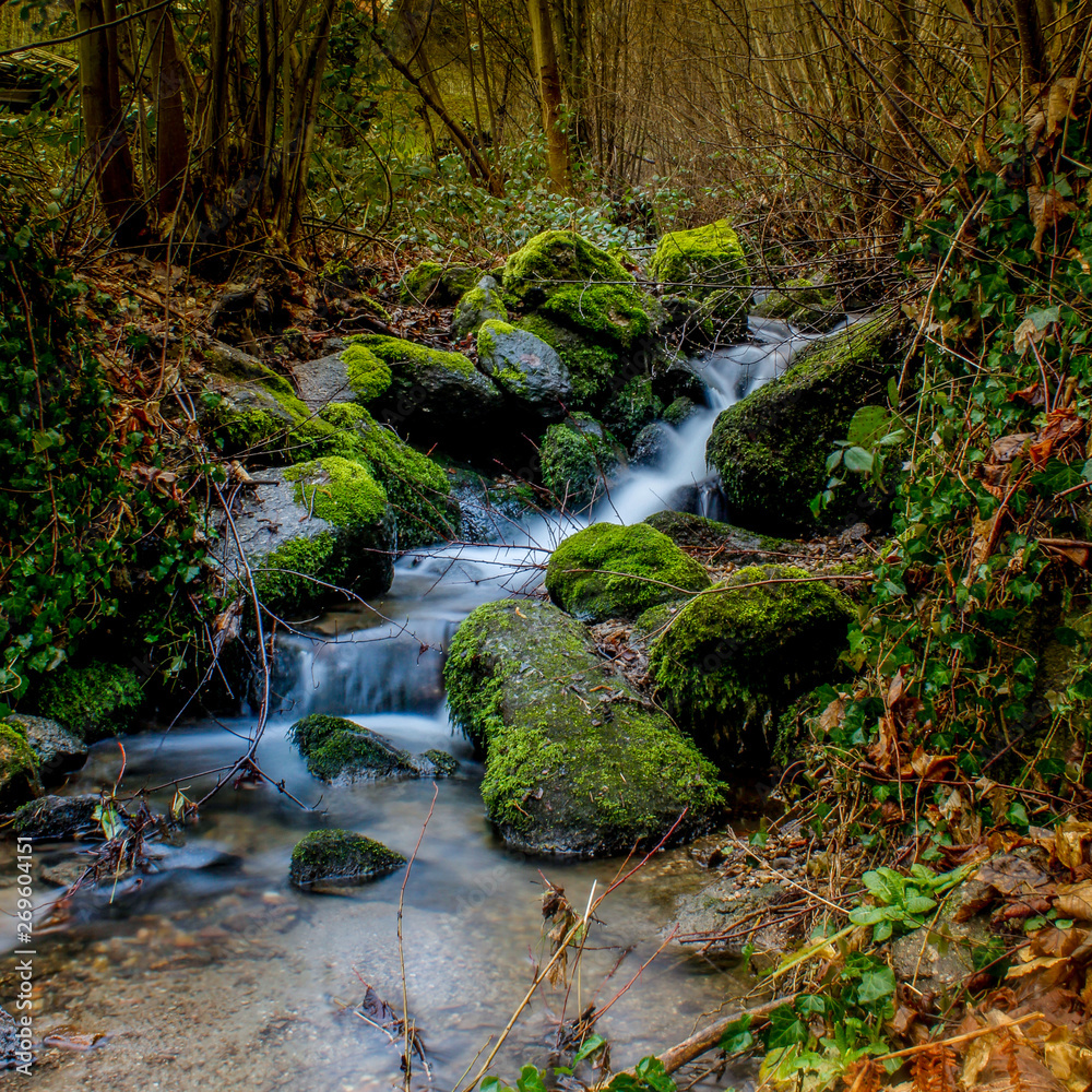 Obraz premium Autumnal landscape with a beautiful river