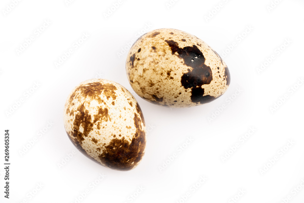 quail eggs on white background quail eggs on white background