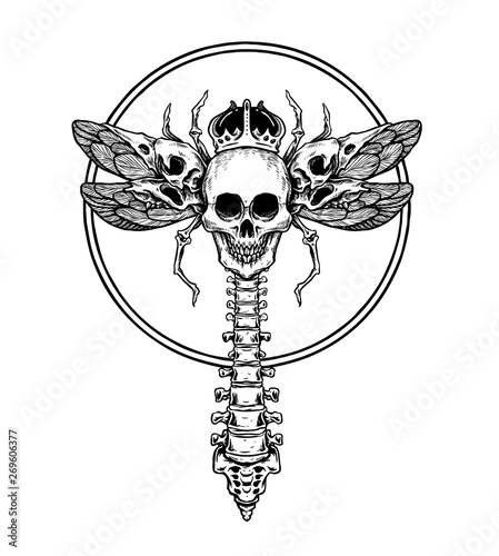 illustration of skull and crossbones