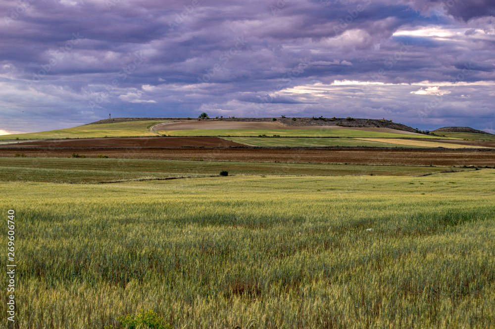 Landscape with a green meadow and the background sky with clouds, at sunset in Rielves, province of Toledo. Castilla la Mancha. Spain Landscape with a green meadow and the background sky with clouds, at sunset in Rielves, province of Toledo. Castilla la Mancha. Spain