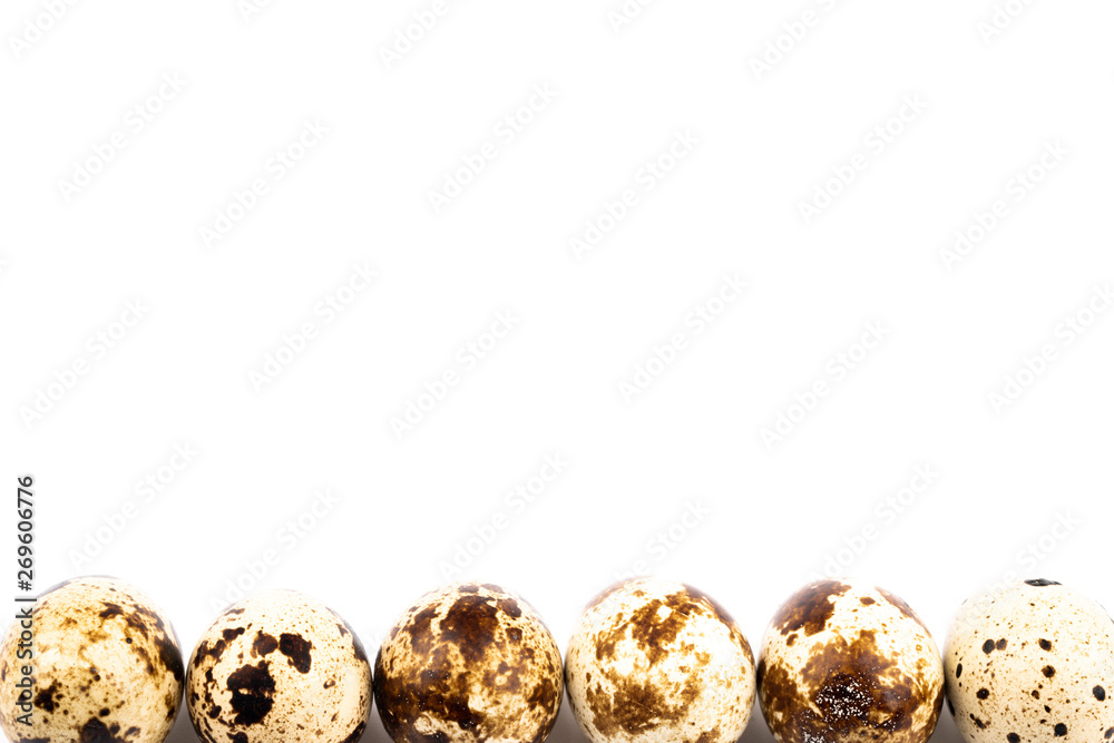 Obraz premium quail eggs on white background
