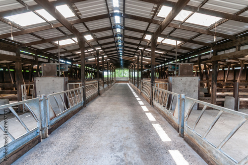 Inside a clean, empty cattle shed