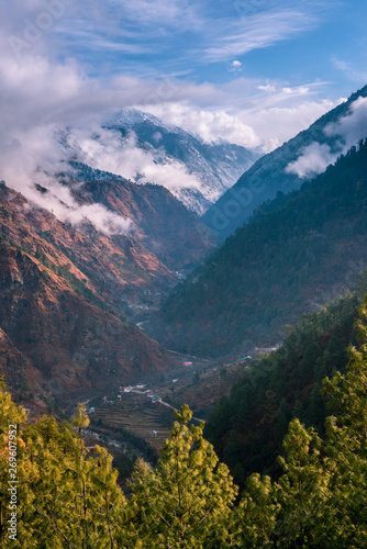 Landscape in Himalayas surrounded by deodar tree