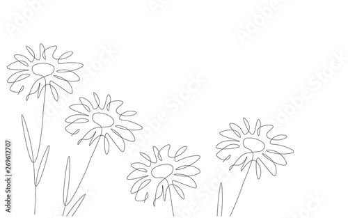 Flowers background with chamomile one line drawing vector illustration