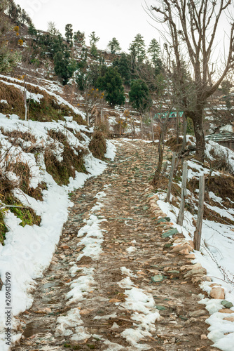 Road in Snow - Majestic winter landscape in himalayas