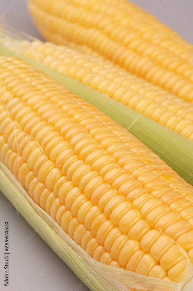 corncob corncob