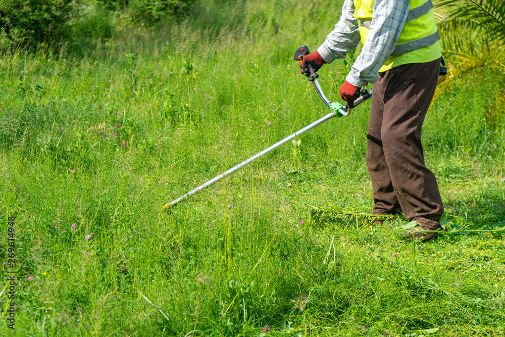 The gardener cutting grass by lawn mower, lawn care The gardener cutting grass by lawn mower, lawn care