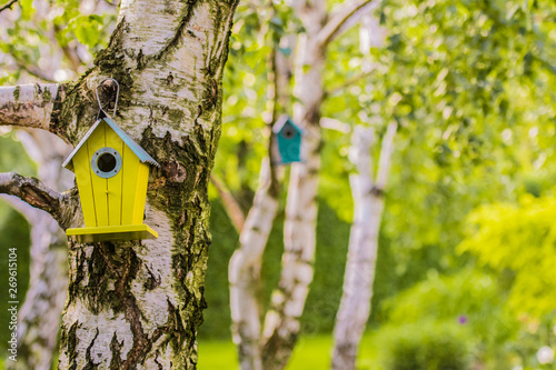 Photos wooden birdhouse on the birch