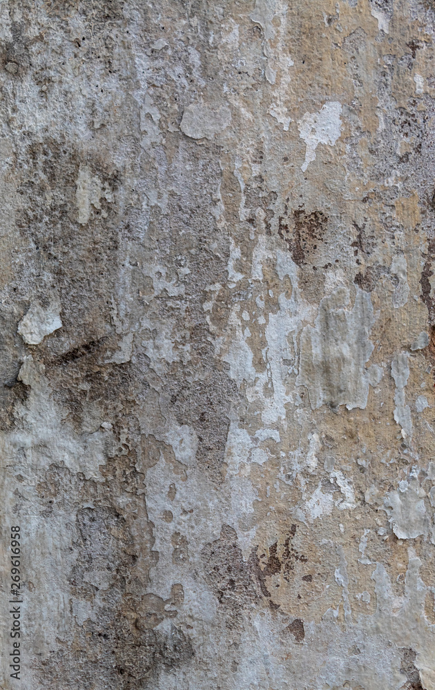 Old Weathered Damaged Decay Concrete Wall Texture