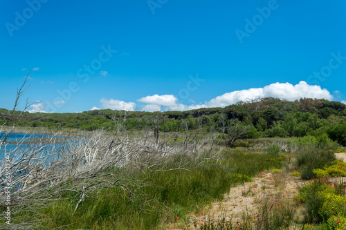 Landscape of Lake Baratz