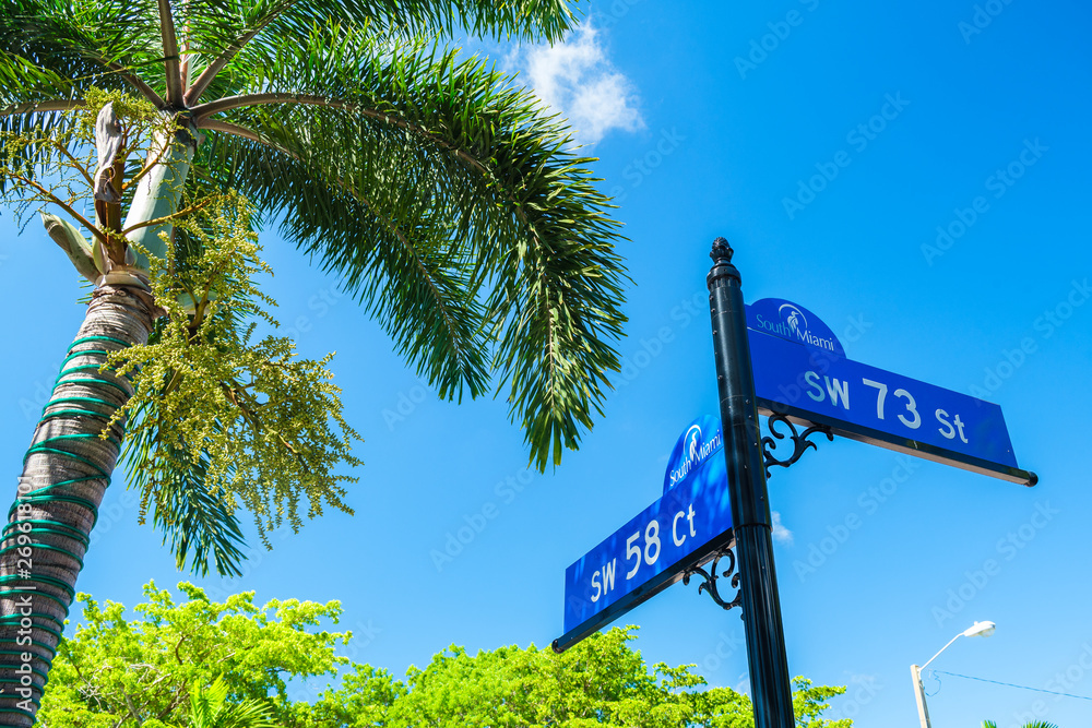 Fototapeta premium South Miami Cityscape