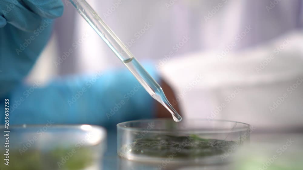 Researchers are working in the laboratory. Researchers are working in the laboratory.