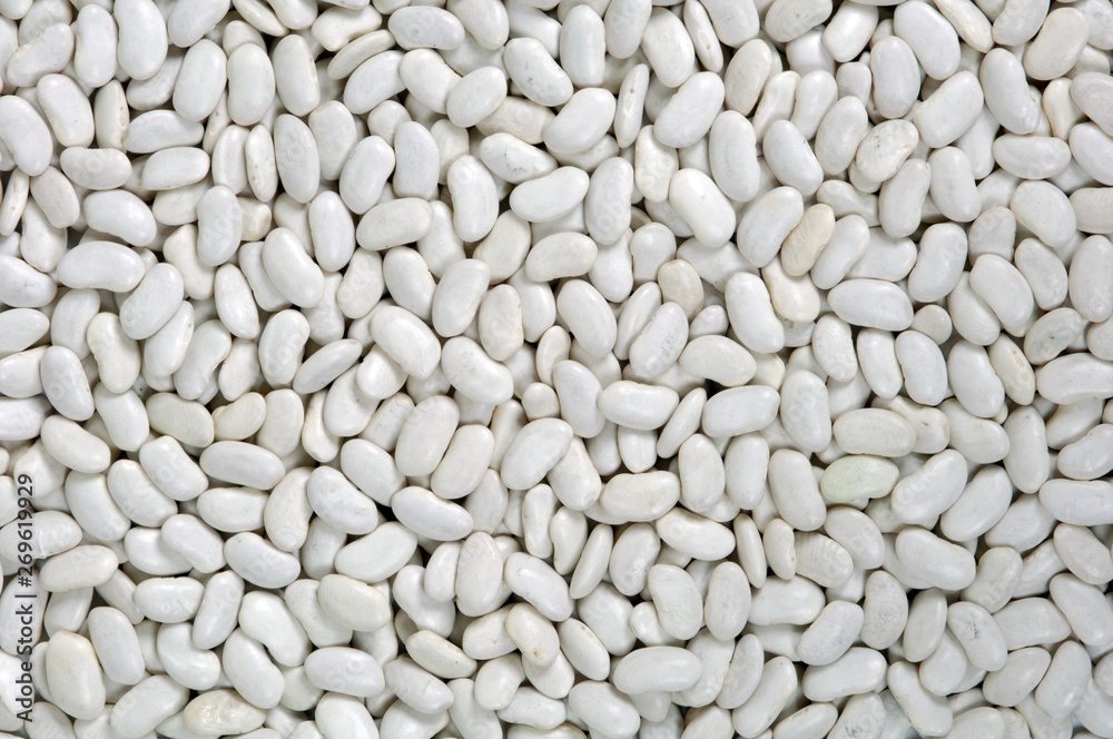 dry beans backdrop dry beans backdrop