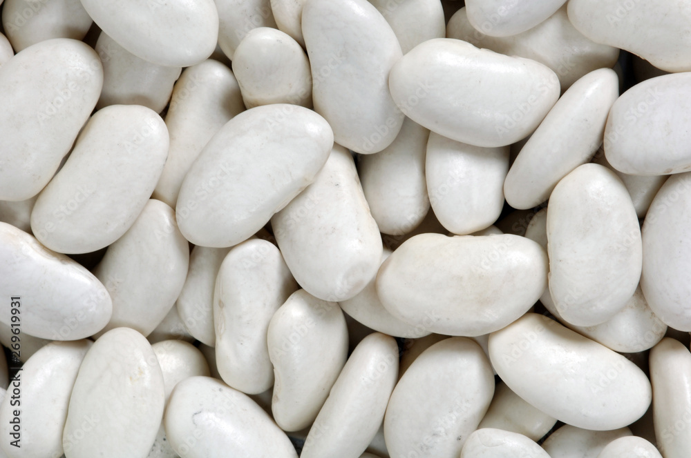 dry beans backdrop dry beans backdrop
