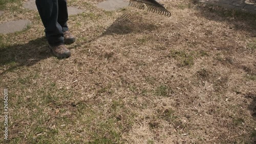 Wallpaper Mural Cleaning the Lawn from Thatch in Spring with Rake, 4k Torontodigital.ca