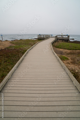 Coastal Highlands elevated walkway deck to ocean vista