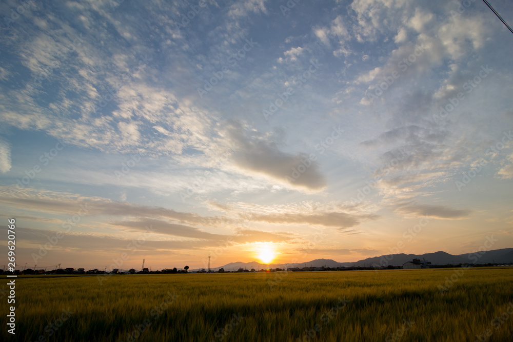 夕日 夕日
