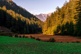 Pundrik rishi lake - Photo of Field surrounded by deodar tree in mountains