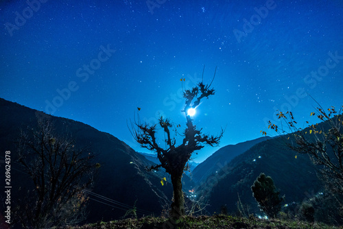 moon is rising over tree in himalayas -