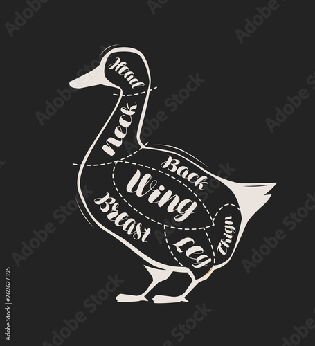Diagram guide for cutting duck meat drawn on the blackboard. Menu for restaurant or butcher shop. Vector