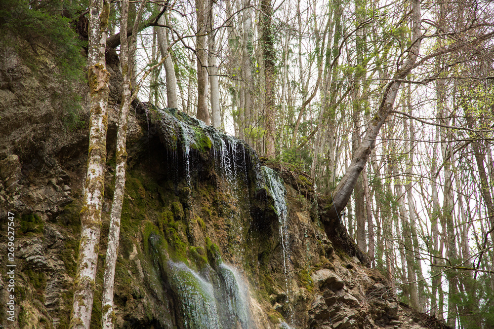 Small forest waterfall in Gorges de la Jogne river canyon in Broc