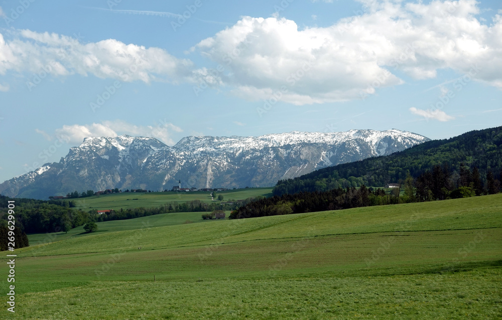 Beautiful rural landscape with blossoming alpine meadows with green grass and mountains with snow caps at far away under blue sky with clouds on bright sunny day