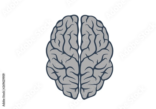 brain icon, top view. mind, psychology and medical neurology sign