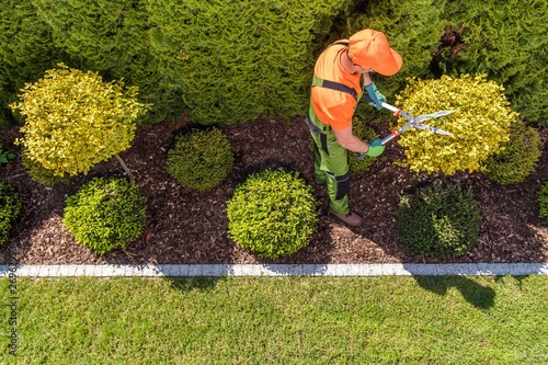 Professional Gardener at Work