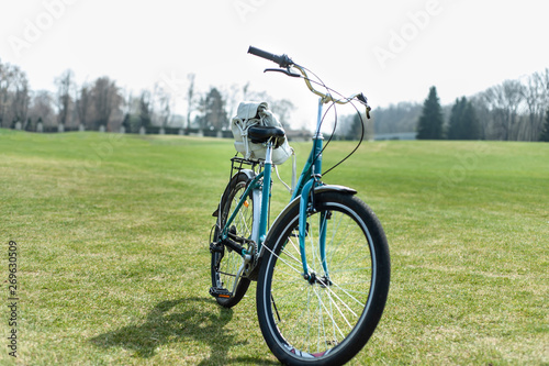 Green women's bike with small white backpack on its trunk stays on green grass, early spring