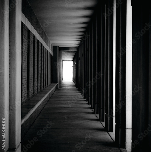 Between Dark and Light