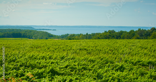 Canvas Print Old Mission Peninsula, Michigan