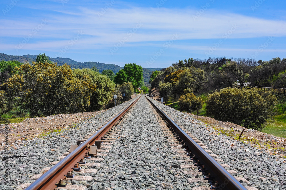 Railway line crossing a natural landscape with vegetation and a cloudy sky on the background Railway line crossing a natural landscape with vegetation and a cloudy sky on the background
