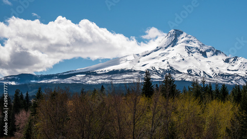 Mt Hood on a Sunny Day © done4today