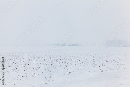 Snow drifts in winter field © rsooll