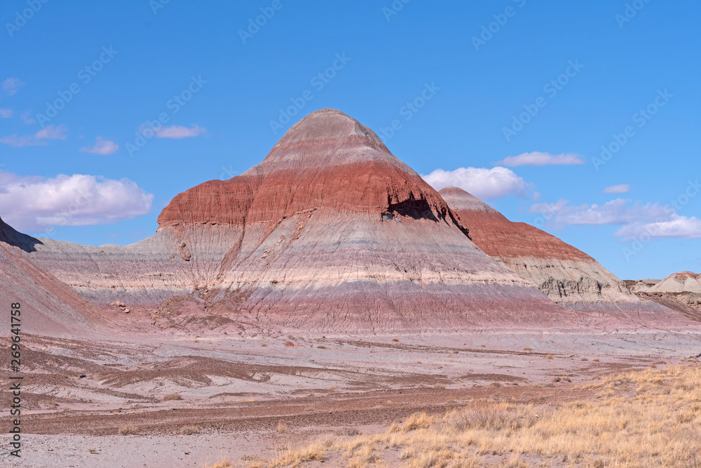 Sedimentary Buttes in the Painted Desert