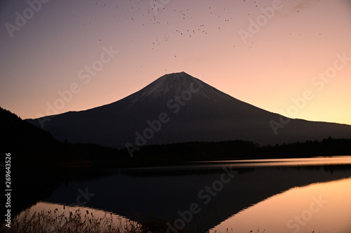 Mt.Fuji Lake Tanukiko of the morning