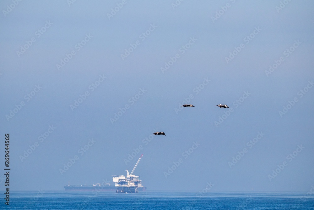 Pelicans in flight by an offshore oil drilling rig