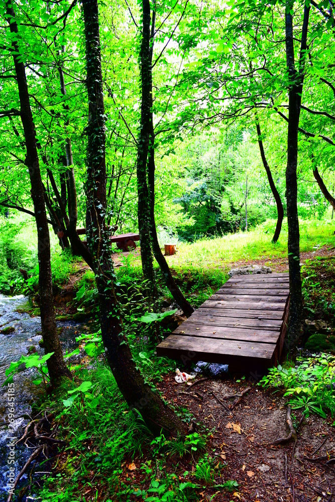 Fototapeta premium Bridge in Croatia