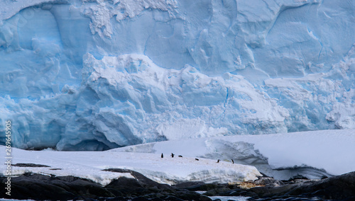 Antarctica Glaciers and penquins