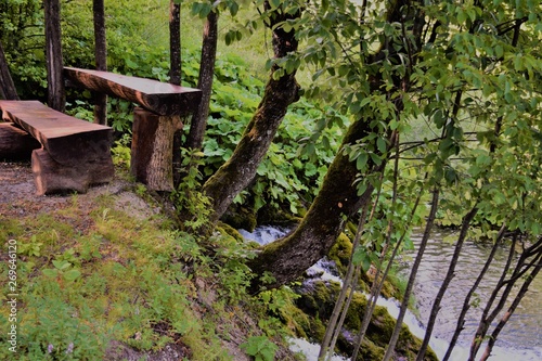 Bench in the Forest