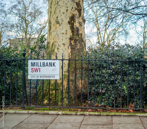 Millbank london and an old tree on the sides photo