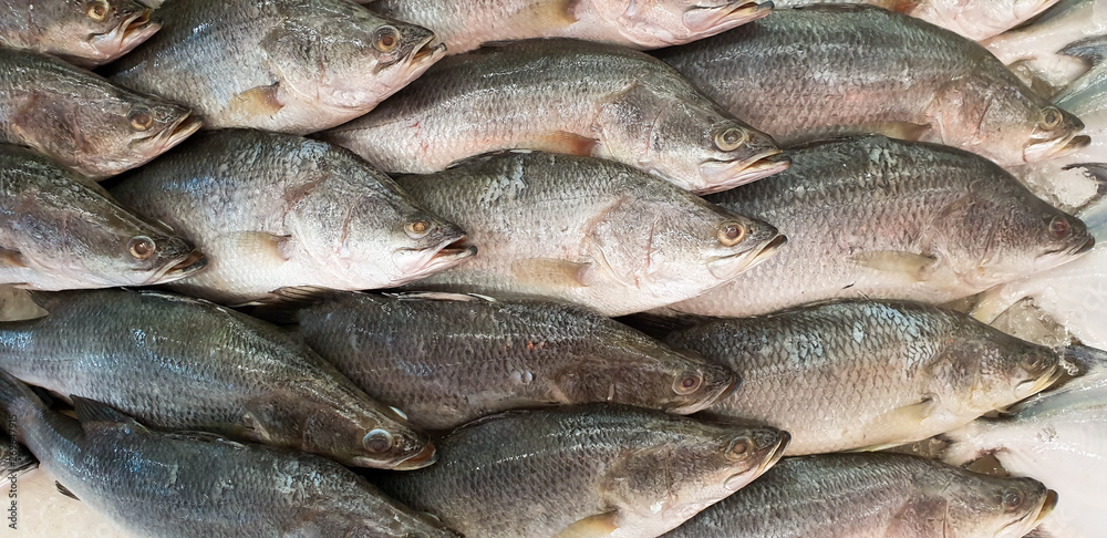 close up a lot of frozen fish flat lay on ice. at factory. close up a lot of frozen fish flat lay on ice. at factory.