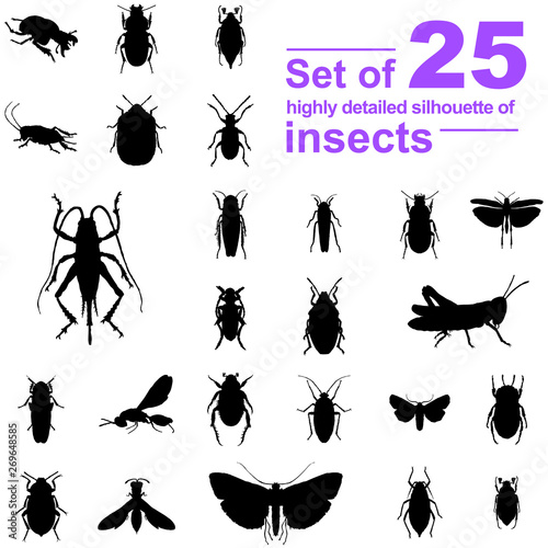 Set of insect silhouettes isolated on white background